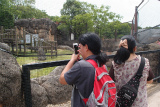 sP6241272.jpg